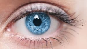 EMDR Nedir?